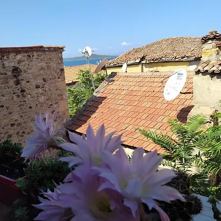 Aygun Bed & Breakfast